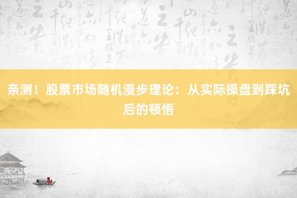 亲测!股票市场随机漫步理论:从实际操盘到踩坑后的顿悟